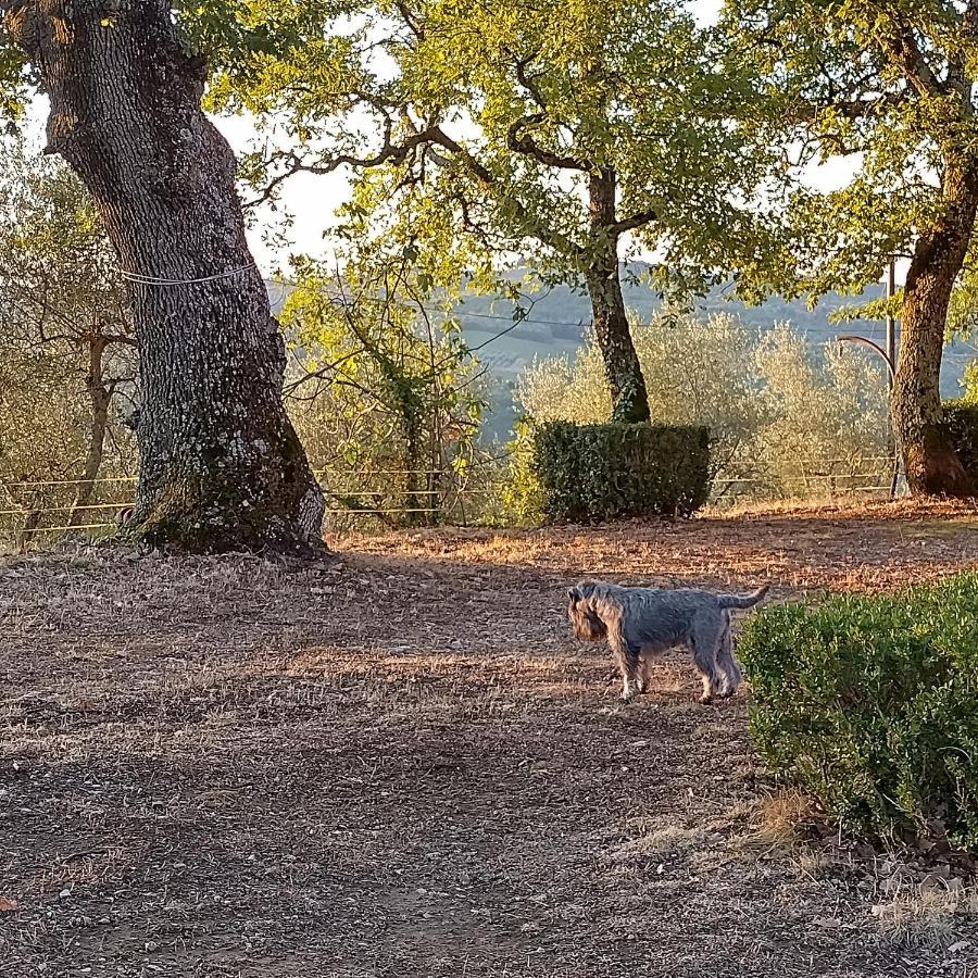 Casanova Di Ricavo Vila Gaiole in Chianti Exterior foto